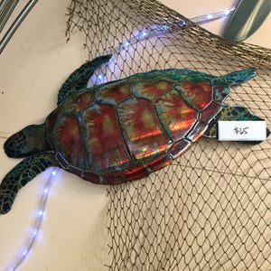 Sea Turtle 17”x 8”