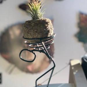 Plant Man with Air Plant